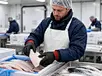 best winter work gloves for dexterity